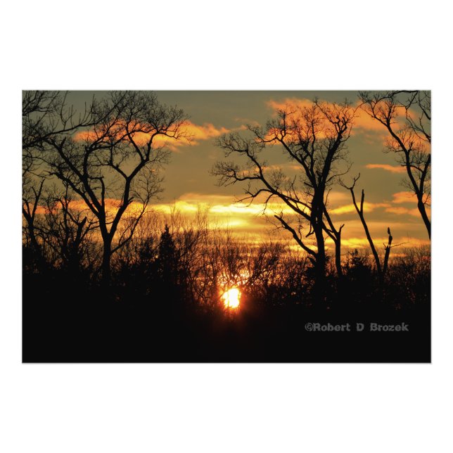 Foto Kansas Tree Silhouettes Sunset Photo Poster. (Frente)
