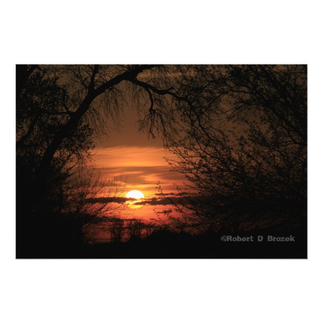 Foto Kansas Trees Sunset Photo Poster. (Frente)