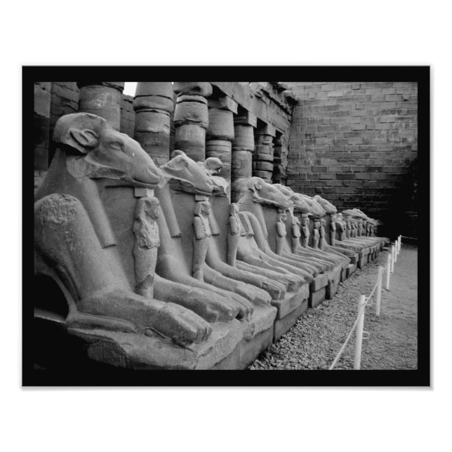Foto Karnak Temple Lions (Frente)