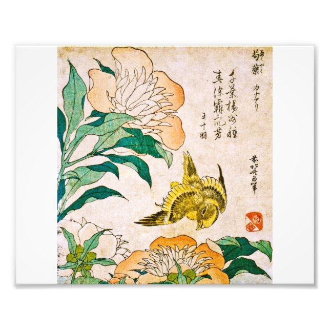 Foto Katsushika Hokusai - Peony E Canary (Frente)