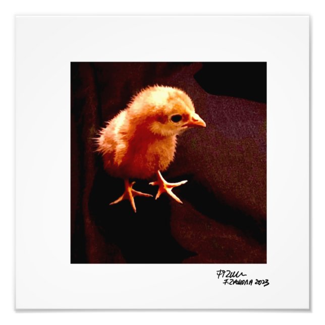 Foto Kid solitário (Frente)