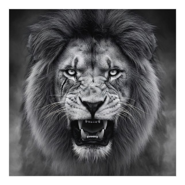 Foto King of the Jungle (Frente)