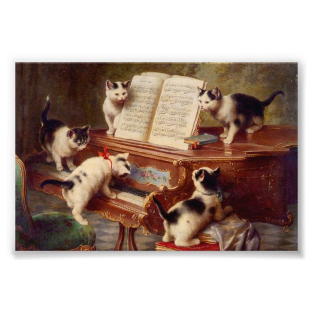 Foto Kittens e Piano (Frente)