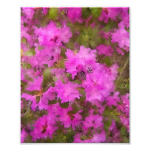 Foto KODAK Impressão Purple Rhododendron
