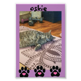 Foto Kodak Professional Photo Paper (Satin)