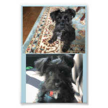 Kodak Professional Photo Paper (Satin)