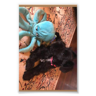 Foto Kodak Professional Photo Paper (Satin)