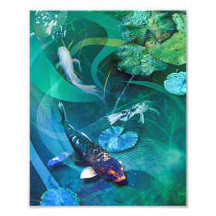 Foto Koi Fish JOY OF KOI