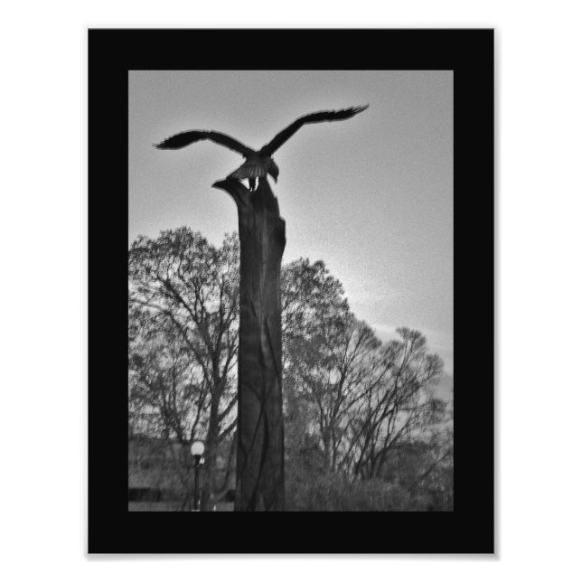 Foto La Crosse Eagle (Frente)