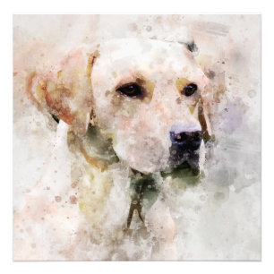 Foto Labrador Retriever Dog Watercolor Retrato 02