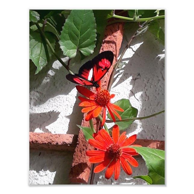 Foto Lady in Red Limited Edition (Frente)