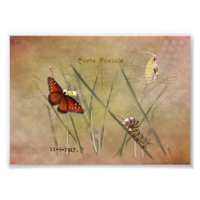 Foto Lady Mixed Media Pintada (Frente)