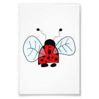 Ladybird