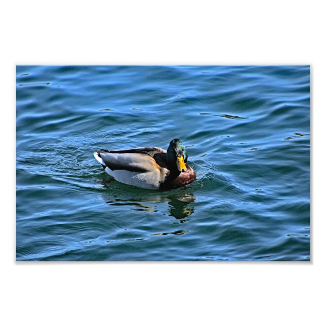 Foto Lago Arrohead (Frente)