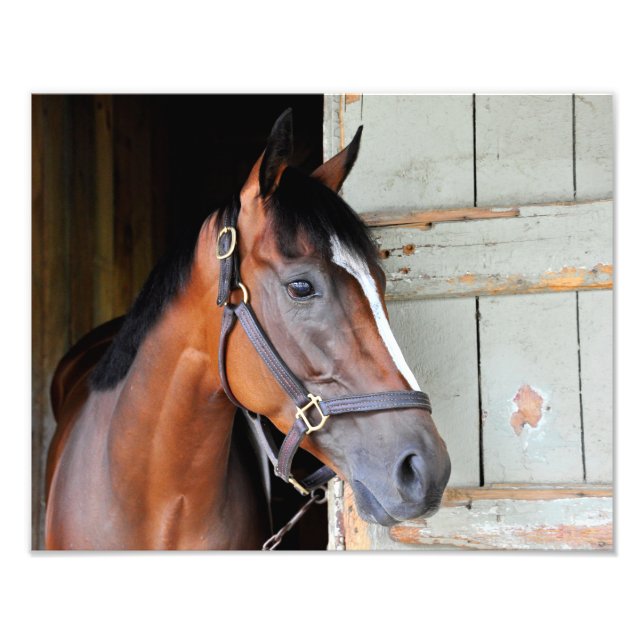 Foto Latigo Trail (Frente)