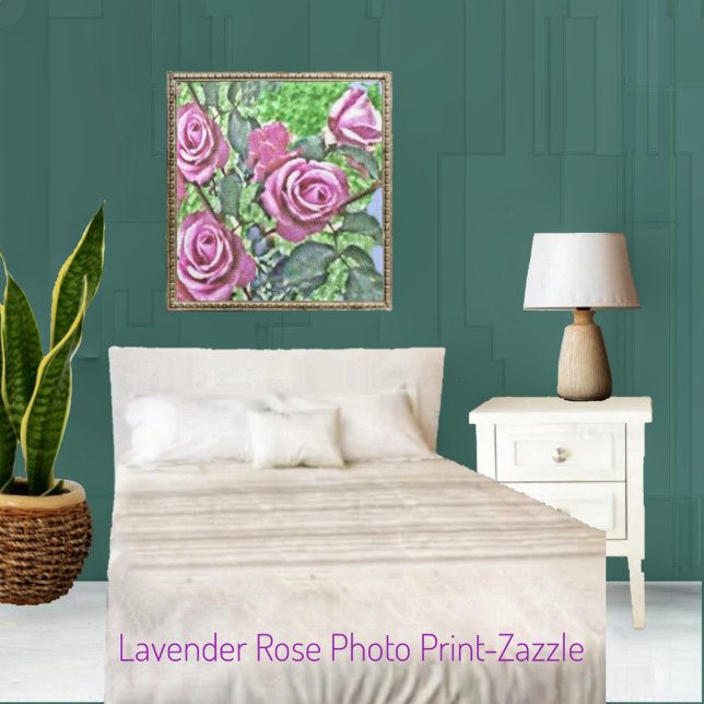 Foto Lavanda de Rosa Bush (Criador carregado)