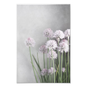 Foto Lavandas E Colmeias Verdes Em Cinzas Suaves