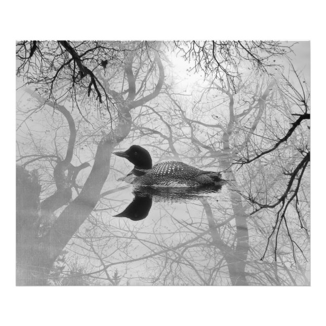 Foto Leão preto e branco sobre uma impressão do lago (Frente)