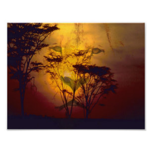Foto Leão que olha sobre o por do sol africano