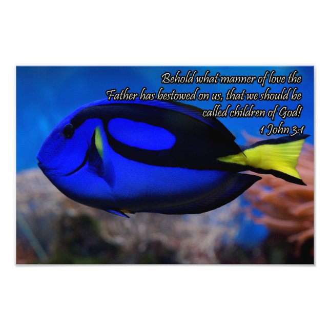 Foto Legal Bíblia cristã cita ditas inspiradoras (Frente)