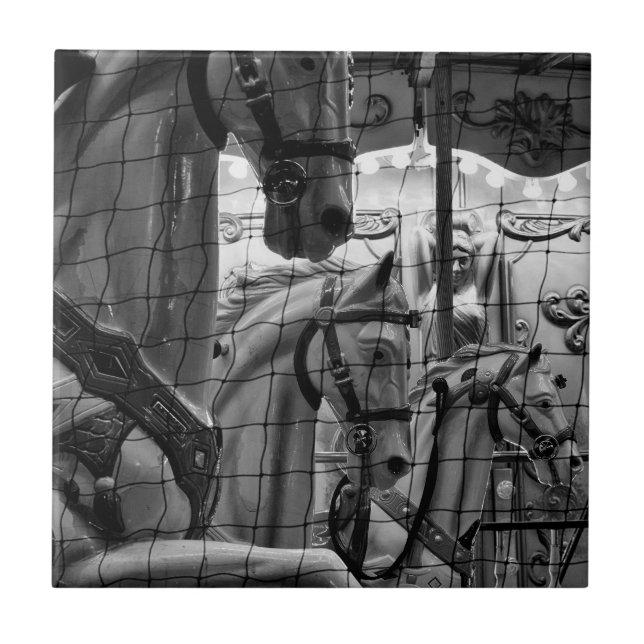 Foto legal, urbana e moderna de cavalos de carross (Frente)