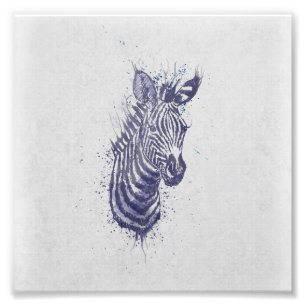 Foto Legal zebra, cor de água do animal, pintura