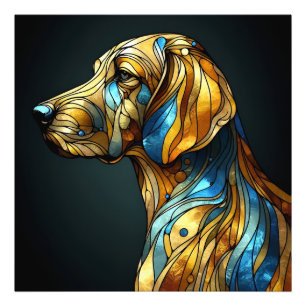 Foto Legalidade Canina Graceful - AI