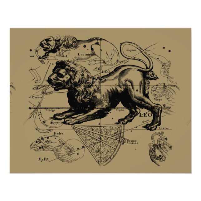 Foto Leo Constelle Hevelius 1690 julho 23 agosto 22 (Frente)