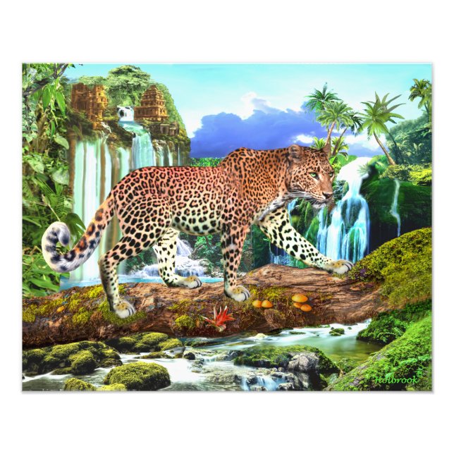 FOTO LEOPARDO DO CONGO (Frente)