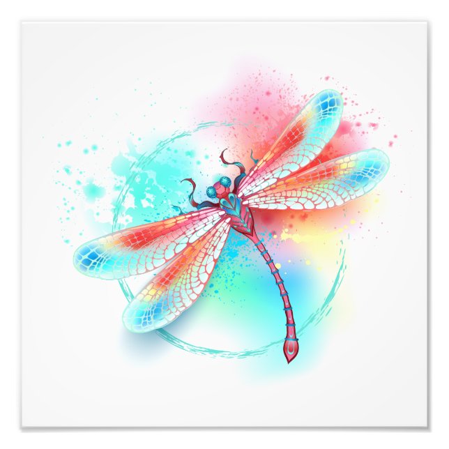 Foto libélula vermelha sobre fundo de aquarela (Frente)