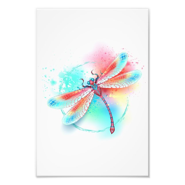 Foto libélula vermelha sobre fundo de aquarela (Frente)