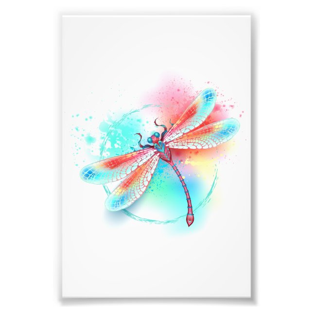 Foto libélula vermelha sobre fundo de aquarela (Frente)