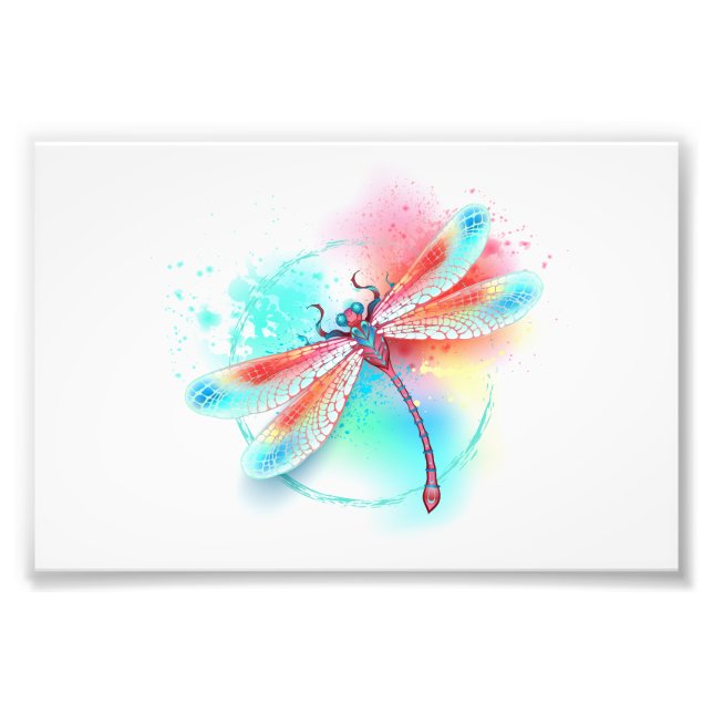 Foto libélula vermelha sobre fundo de aquarela (Frente)