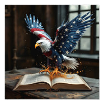 Liberdade Americana Revelada