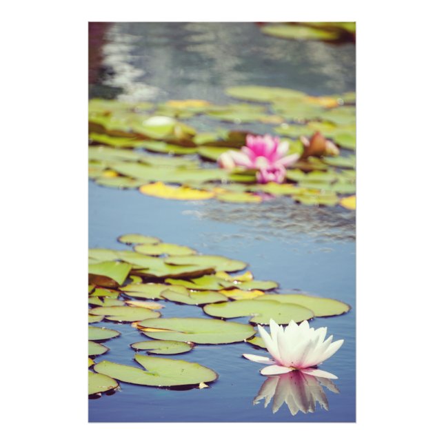 Foto Lilly Pond Flowers (Frente)