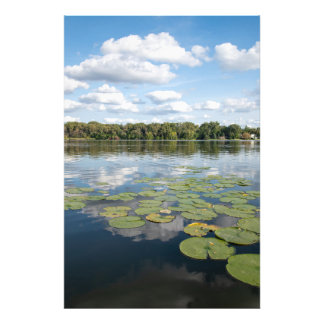 Foto Lily Pad Lake