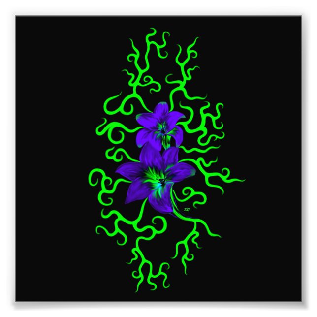 Foto Lily Roxa Flor a preto (Frente)