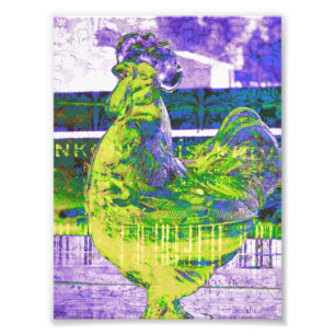 Foto Limão Rooster