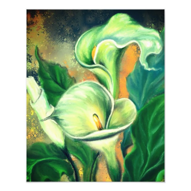 Foto Linda Calla Lily Flower - Desenhada por Migrada (Frente)