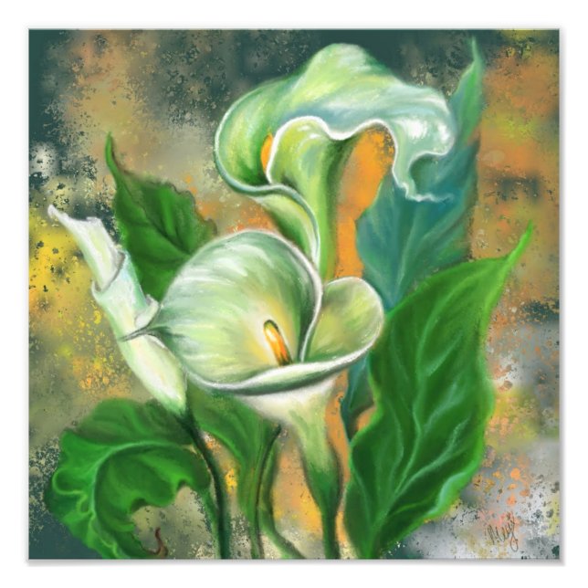 Foto Linda Calla Lily Flower - Desenho de Arte Migrado (Frente)