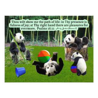 Foto Linda Escritura de Panda: Salmos 16:11,