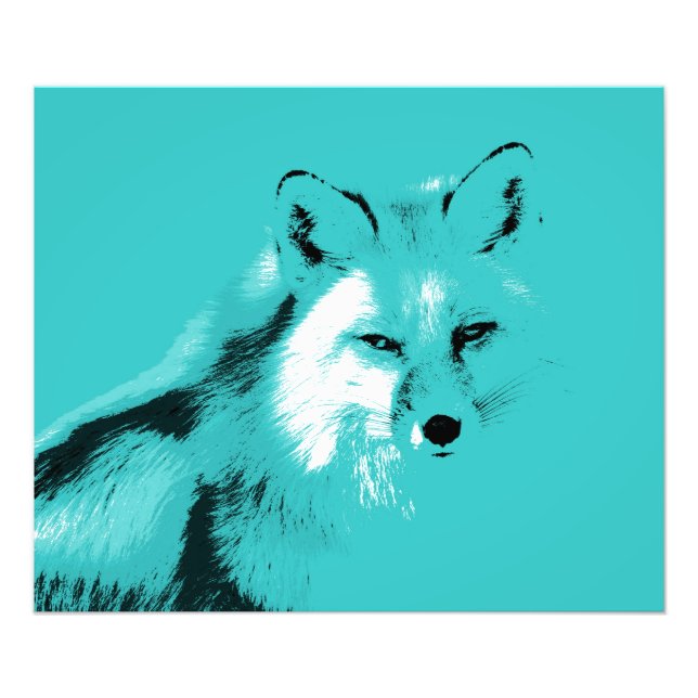 Foto Linda Turquesa Blue Fox (Frente)