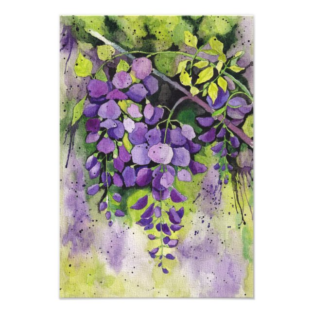 Foto Lindas Flores De Wisteria Em Aquarela (Frente)