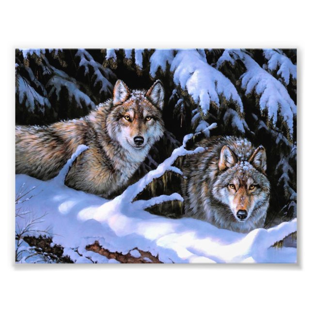 Foto Lindas pinturas de dois lobos (Frente)