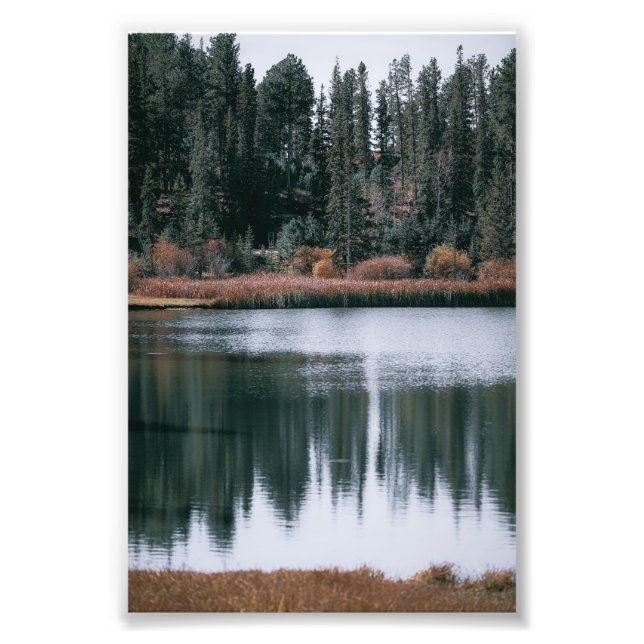 Foto Lindas Reflexões De Evergreens No Lago (Frente)