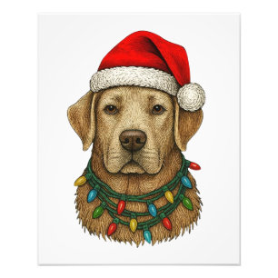 Foto Lindo Labrador de Natal com Chapéu de Papai Noel e