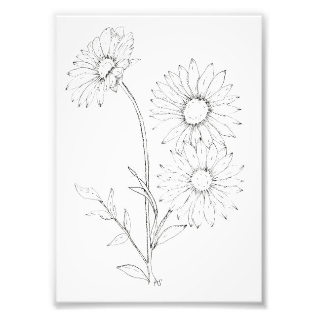 Foto Lines & Petals (Frente)