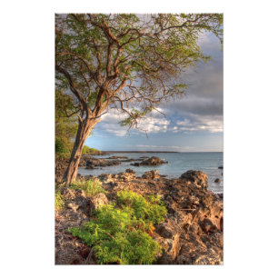 Foto Linha costeira Maui