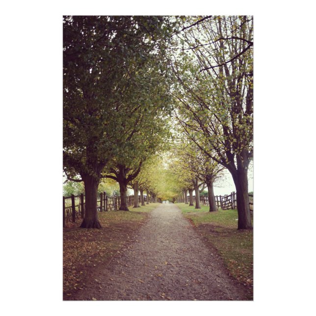 Foto Linha florestal (Frente)