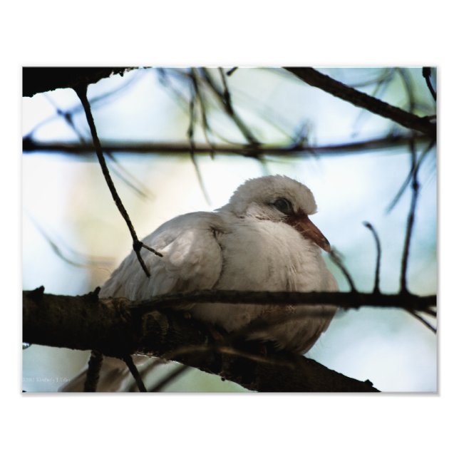 Foto Linha mestre (Frente)